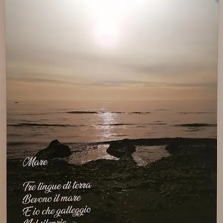 Verdepoesia-3